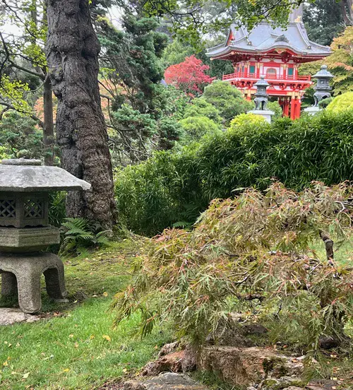 The Japanese Tea Garden, Golden Gate Park